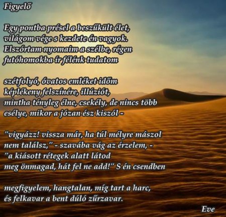 Pálházi Éva - Figyelő